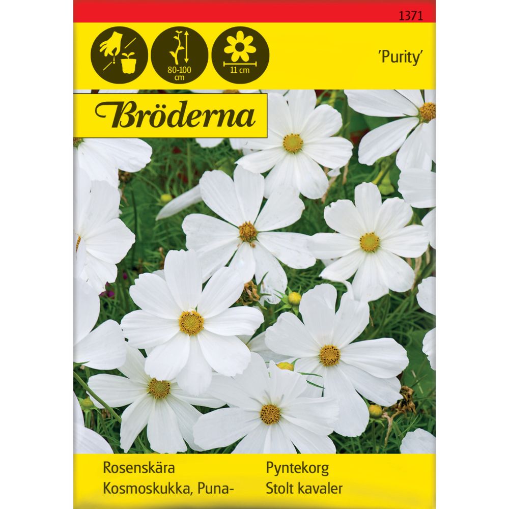 Pyntekorg Purity med hvite blomster i blomsterbed