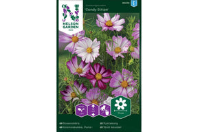 Pyntekorg med rosa og hvitstripede blomster på slanke stilker