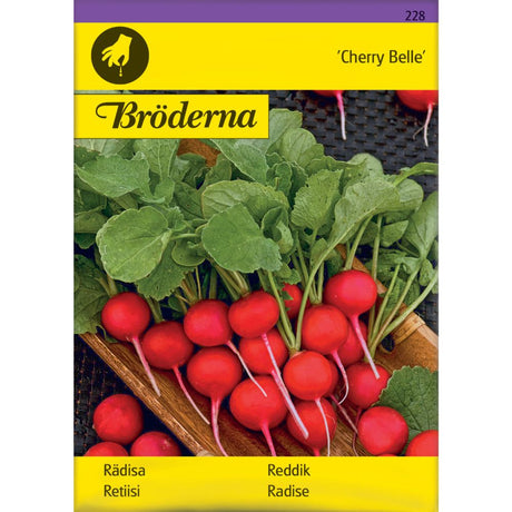 Reddik ‘Cherry Belle’ med røde, runde røtter