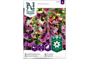 Blomstrende revebjelle med klokkeformede blomster i flere farger