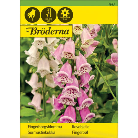 Revebjelle i blandede farger med høye blomsterspir i hage