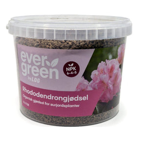 EVER-GREEN rhododendrongjødsel brukt rundt rhododendron og hortensia i bed