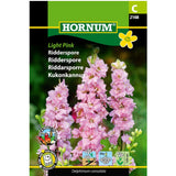 Ridderspore med lyserosa blomsterspir