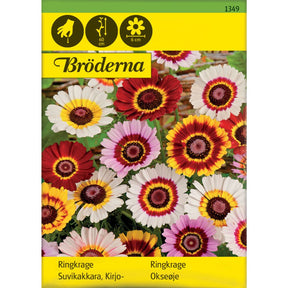 Ringkrage i blandede farger i blomsterbed