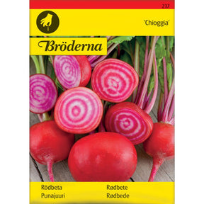 Rødbete Chioggia med røde og hvite ringer i snitt