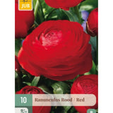 Ranunkler i klar rød farge brukt som snittblomster i bukett.