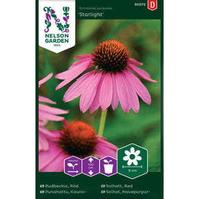 Rød solhatt Starlight med store dyprøde blomster i blomsterbed