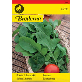 Rucola salatsenep med mørkegrønne blader dyrket i kjøkkenhage
