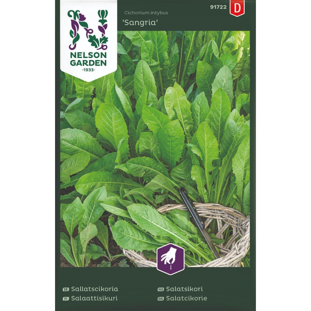 Salatsikori Sangria med grønne blader