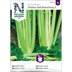 Golden Self Blanching selleri med lyse sprø stilker