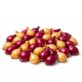 Blanding av setteløk 1 kg med gul løk Stuttgarter Riesen og rødløk Red Comred.