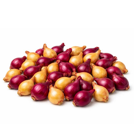 Blanding av setteløk 1 kg med gul løk Stuttgarter Riesen og rødløk Red Comred.