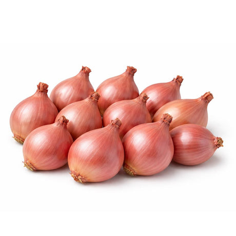 Sjalottløk ‘Biztro’ – Fransk sort med mild smak og lilla farge for dyrking