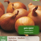 Sjalottløk ‘Yellow Moon’ – Rund gul sort med mild aroma og høy avling