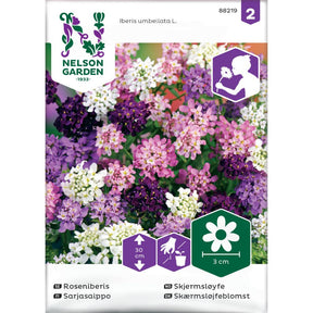 Lav skjermsløyfe plantet i steinparti med hvite og rosa blomster