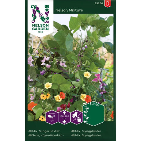 Slyngplanter Nelson Mixture i blomst