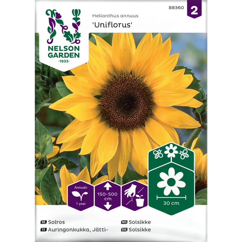 Kjempe solsikke med stor gul blomst