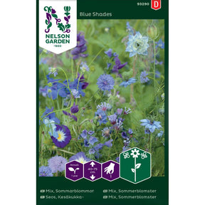 Sommerblomster i blå og lilla nyanser i blomsterbed