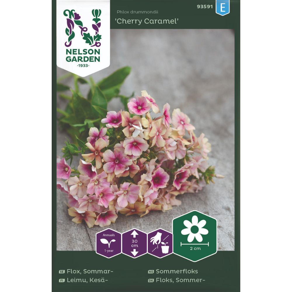 Sommerfloks Cherry Caramel i aprikos og rosa farger i blomsterbed