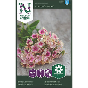Sommerfloks Cherry Caramel i aprikos og rosa farger i blomsterbed