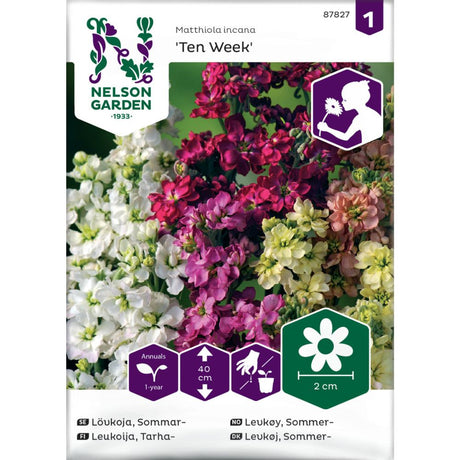 Levkøy brukt som snittblomst i bukett