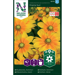 Sommersolhatt Prairie Sun med store gule blomster og grønt senter i blomsterbed