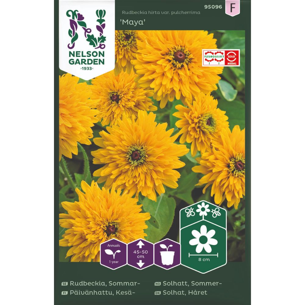 Sommersolhatt Maya med store fylte blomster i blomsterbed