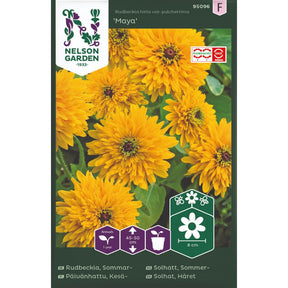 Sommersolhatt Maya med store fylte blomster i blomsterbed