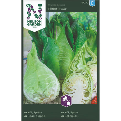 Spisskål Filderkraut klar til høsting