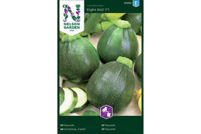 Rund grønn squash som vokser kompakt og jevnt på planten