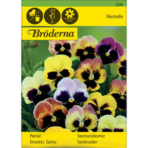 Stemorsblomster i blandede farger som blomstrer tidlig på våren