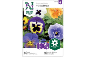 Store stemorsblomster med brede kronblader i rik og jevn blomstring
