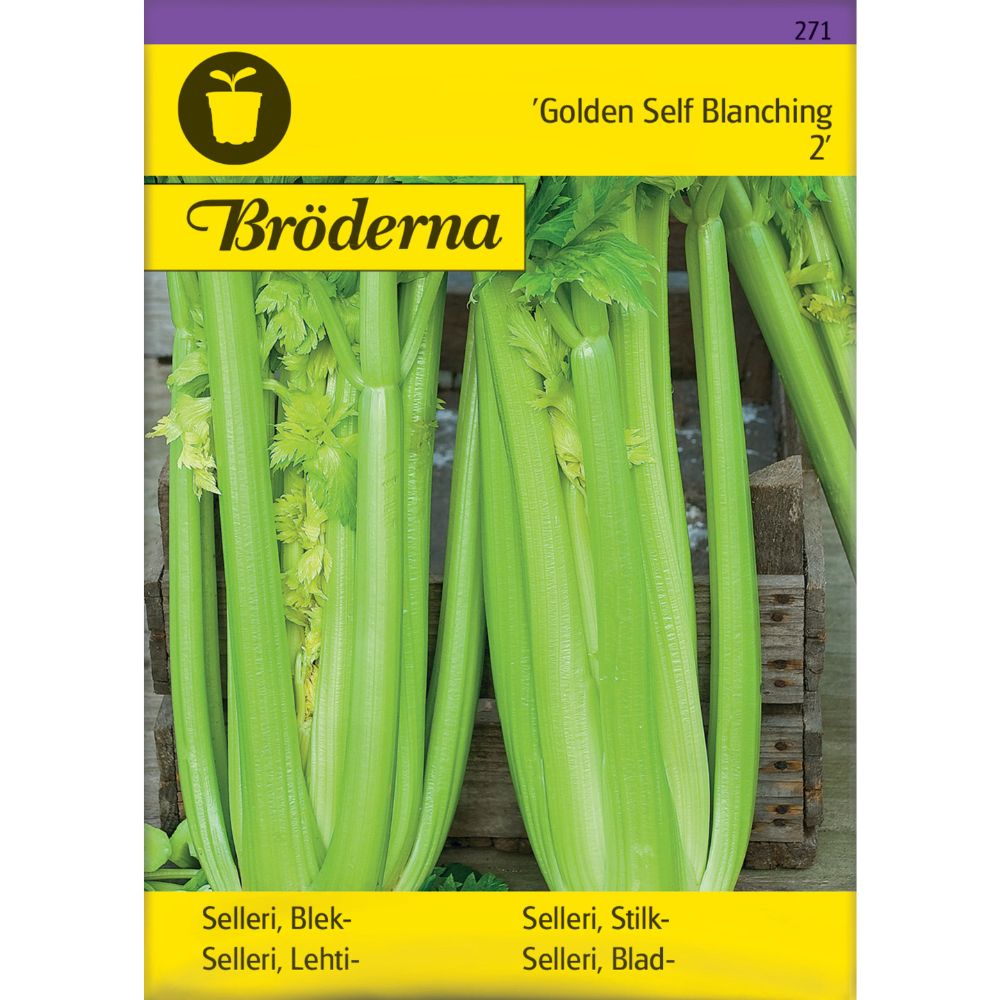 Stilkselleri Golden Self Blanching 2 Frø – Sprø og Mild Selleri