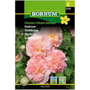 Stokkrose ‘Charters Strain Salmon’ med fylte blomster