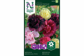 Stokkroser med store, dekorative blomster i livlige sommerfarger