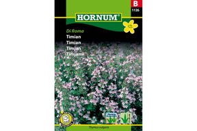 Kraftig timianplante med små grønne blader brukt som aromatisk krydderurt