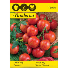 Tigerella tomatplante med røde tomater med oransje striper