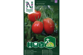 Kompakt tomatplante med avlange røde tomater, ideell til matlaging