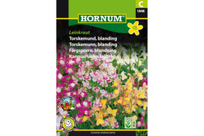 Fargerike torskemunnblomster i blanding, brukt som sommerblomst i bed og krukke