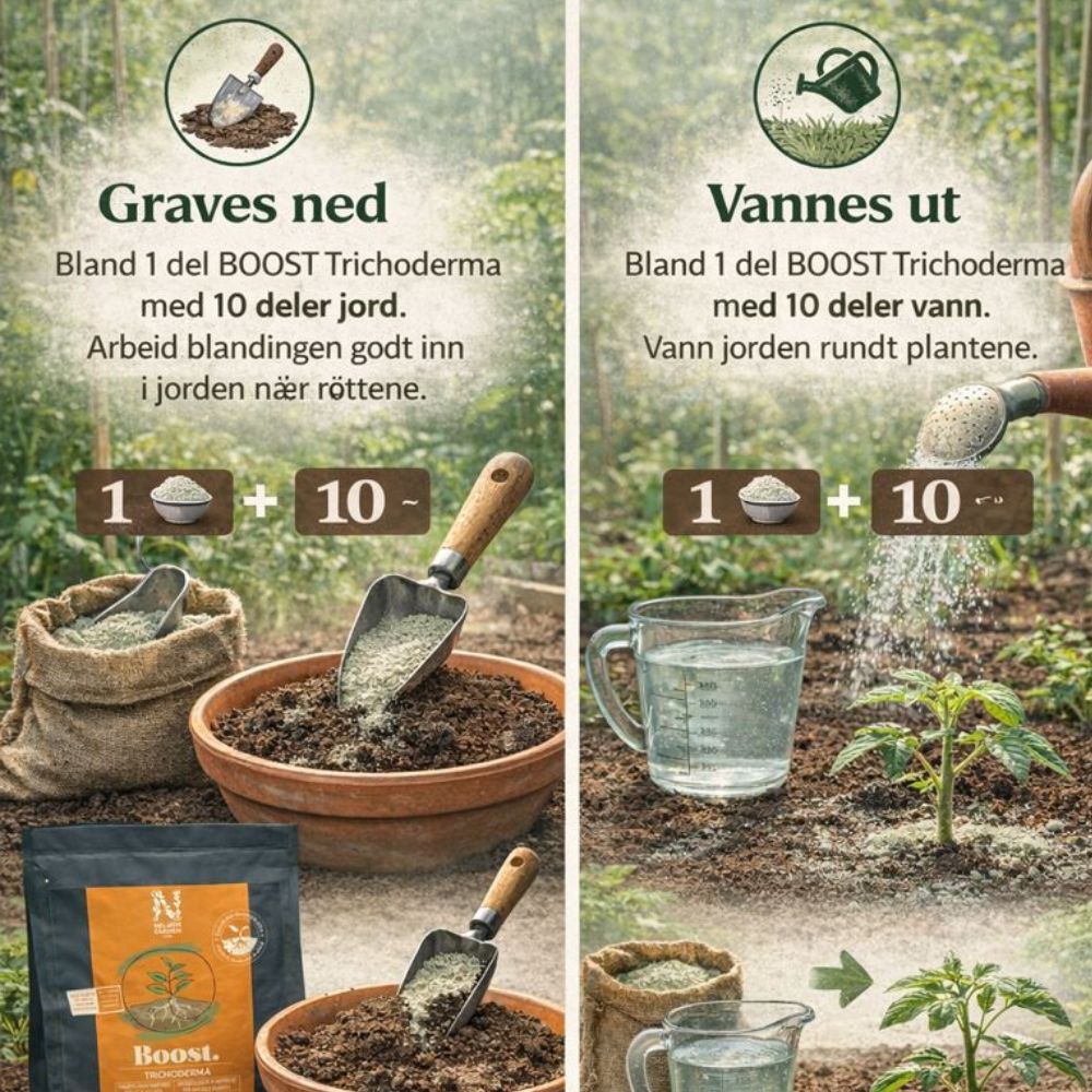 Biostimulant i pulverform som fremmer rotutvikling og plantehelse