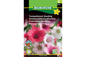 Fargerik trompekatost i blanding, dyrket som dekorativ sommerblomst