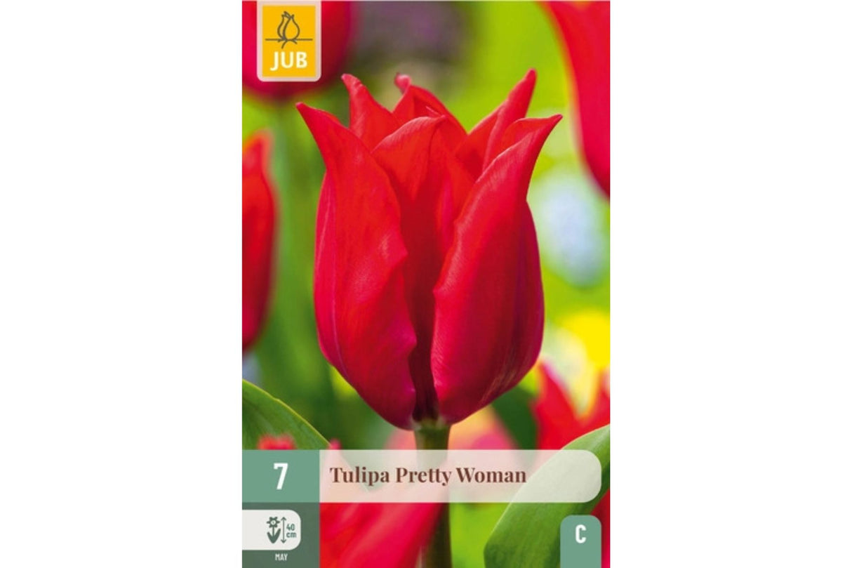 Tulipan ‘Pretty Woman’ – Slank liljeblomstrende tulipan i intens rødt (7 løk)