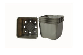 10 grønne, bionedbrytbare biopotter på 11×11 cm for planter og frø