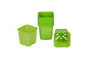 20 limefargede hobbypotter på 8 cm for forkultivering og stiklinger