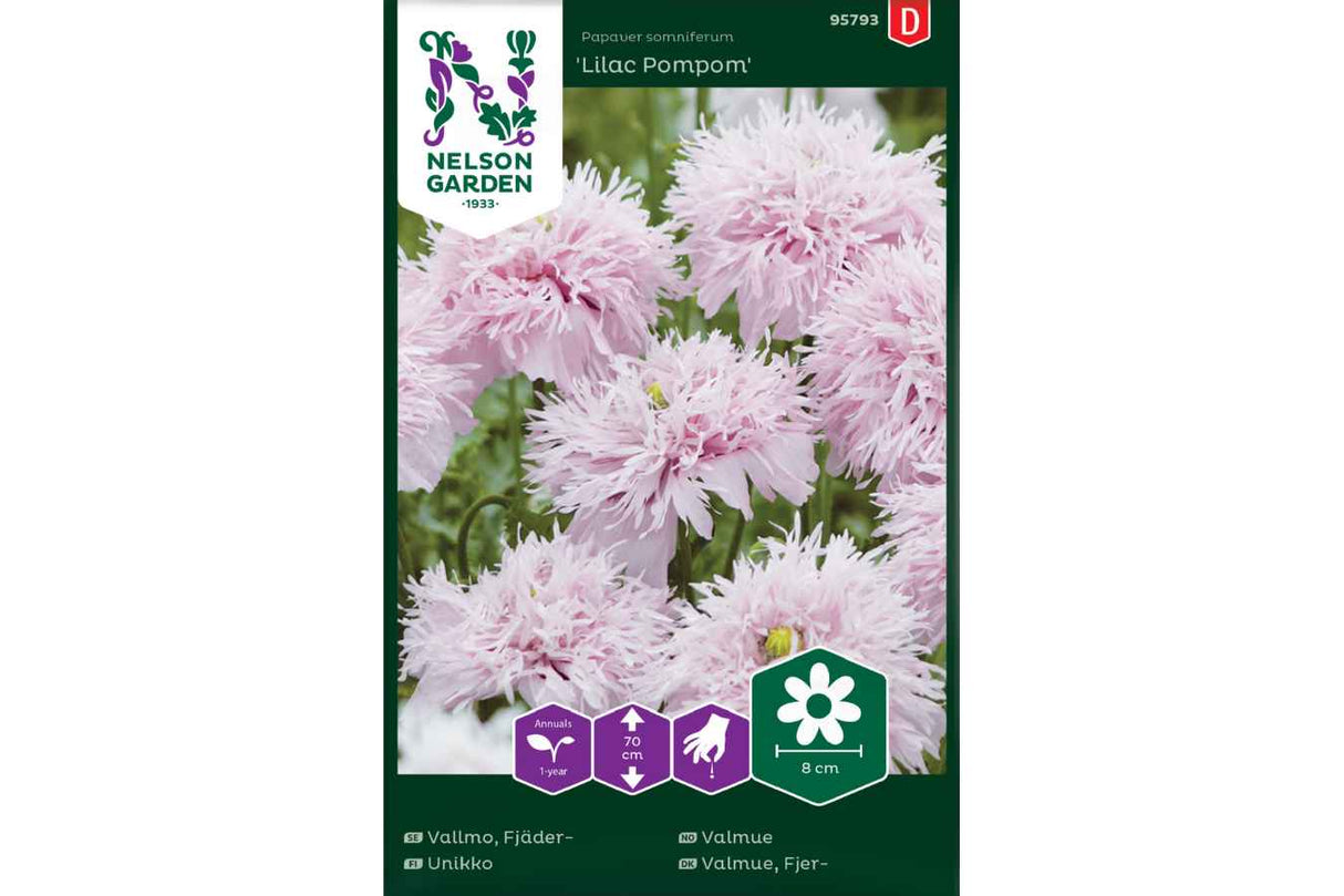 Valmue 'Lilac Pompom' – Lyst Lilla Eleganse for Hage og Vase