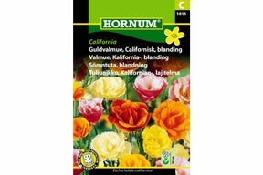 Fargerik blanding av California-valmuer i blomstrende hagebed