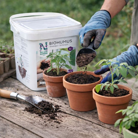 Bruk av Biohumus til potteplanter og hage