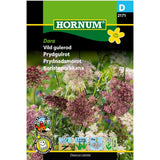 Vill gulrot ‘Dara’ med store blomsterskjermer