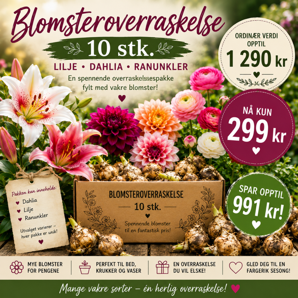 Blomsteroverraskelse 10 stk