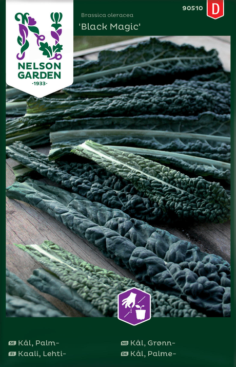 Grønnkål Black Magic med smale blader